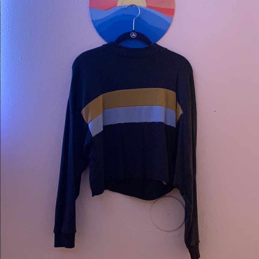 Long Sleeve Blue Striped Crop Top- American Eagle